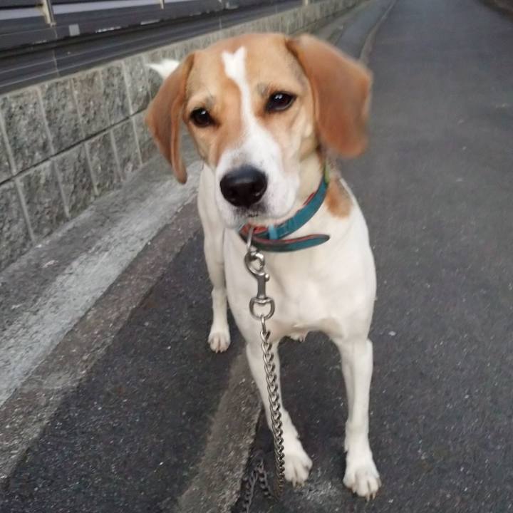 82ba76a0 6d21 4bc6 9395 ba8024474c51 1604999247371