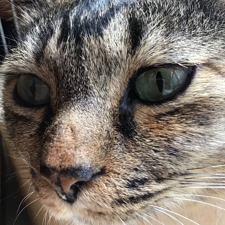 82baa073 a645 4726 99b8 a981ac4a875e 1758710228975