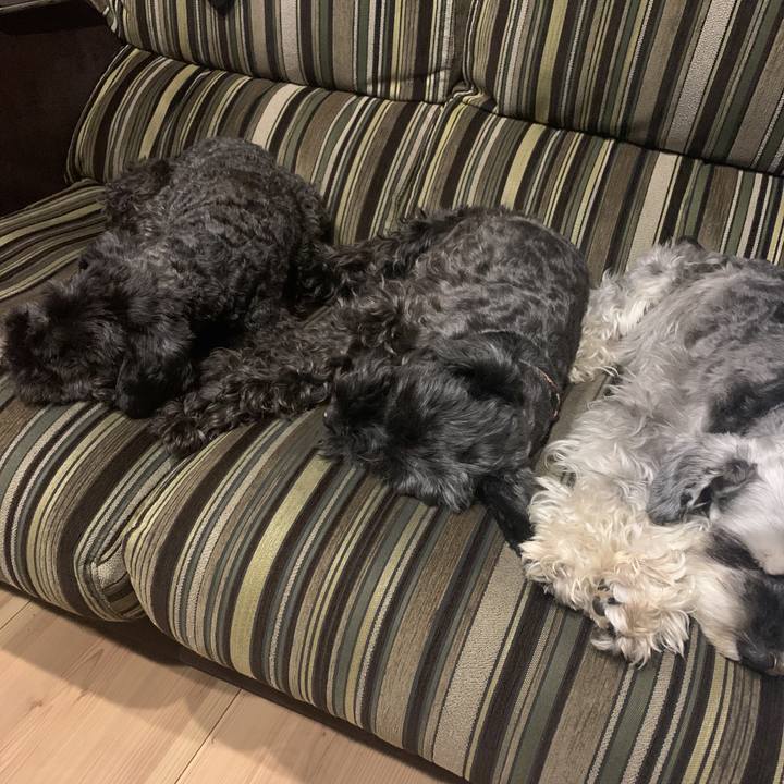 82bab274 5c83 44c5 982a 5129e4ab9348 1593339029000