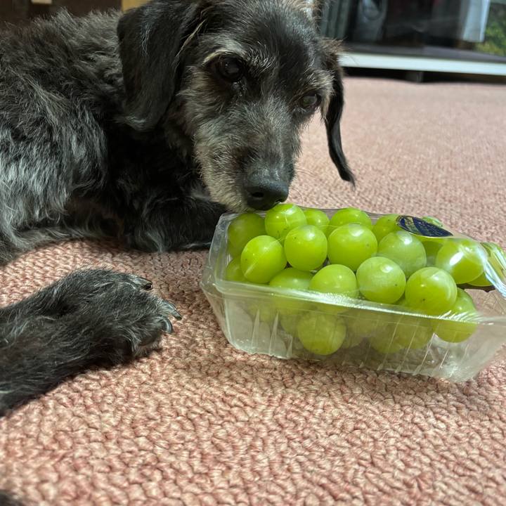 82babcc1 aa39 49c5 8860 9207bc243dcd 1756855393313