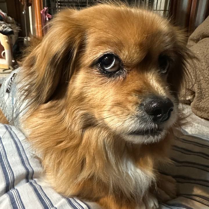 82bae9e1 cb7d 4c88 83b0 287862f3e7ec 1705180315629