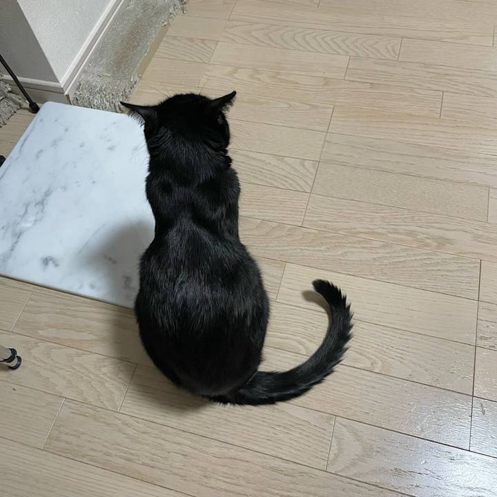 82baf66a 369a 4072 8279 d8913cadb09d 1696595186541