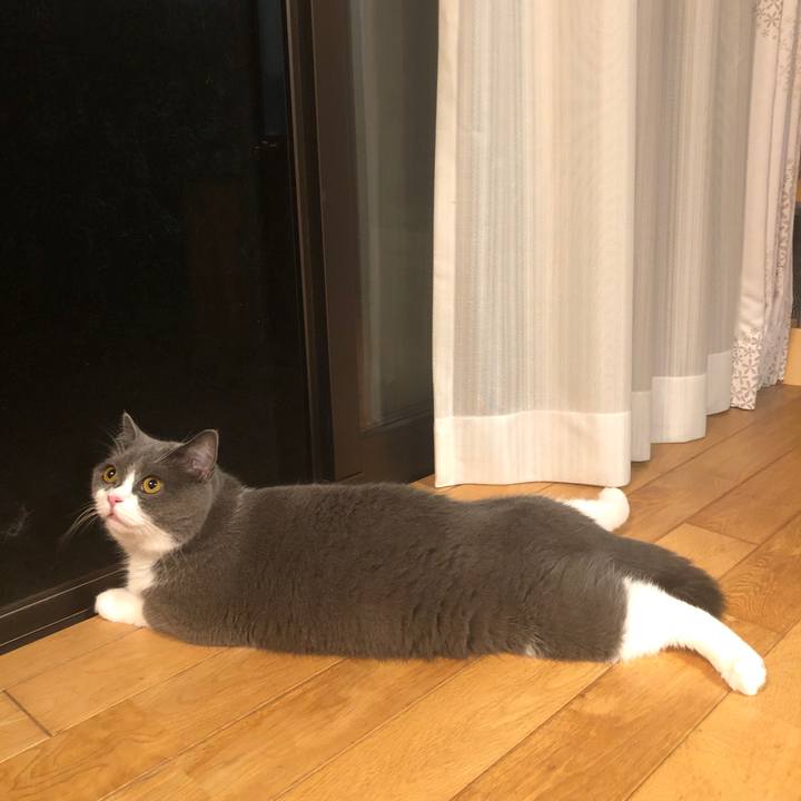 82bb035a 61c3 4bef a99b 862d3ea7d09c 1565952804988