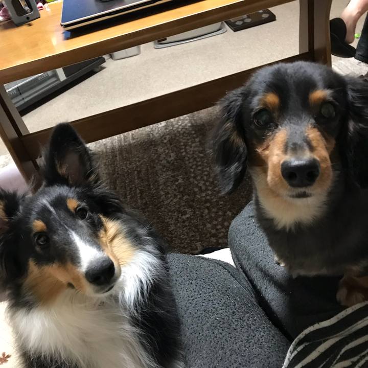 82bb18b5 9cfa 42b7 8d80 3c8470f78756 1519336450699