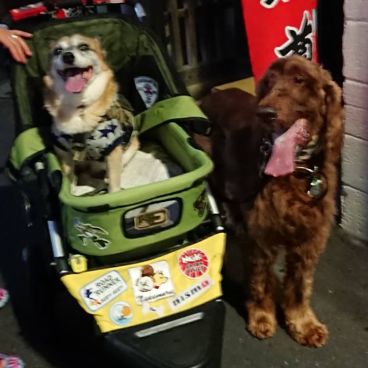 82bb2a88 1b67 479c bd7a c0a9037003f4 1570199559433