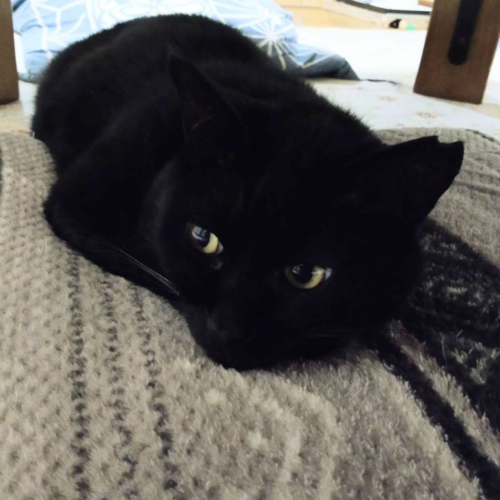 82bb698a 93eb 47ee 8cd3 8955193d72e0 1621662807857