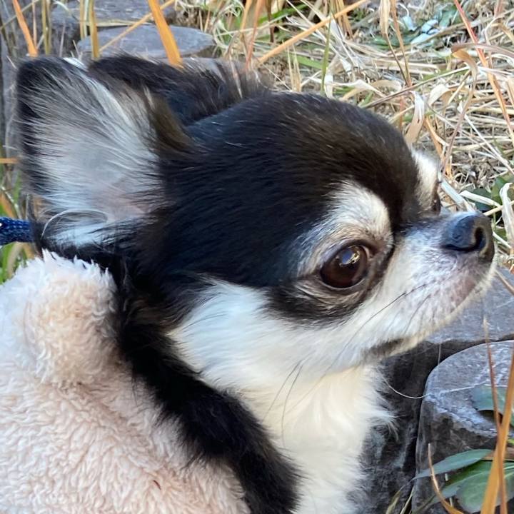 82bb826b 1b02 429a 886d cbdeb221f9a9 1672808102694