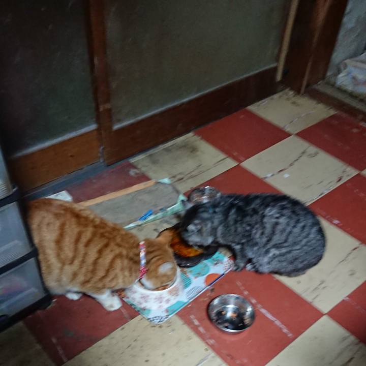 82bbc702 0712 42a6 84a0 be4ad95a1da3 1576784830560