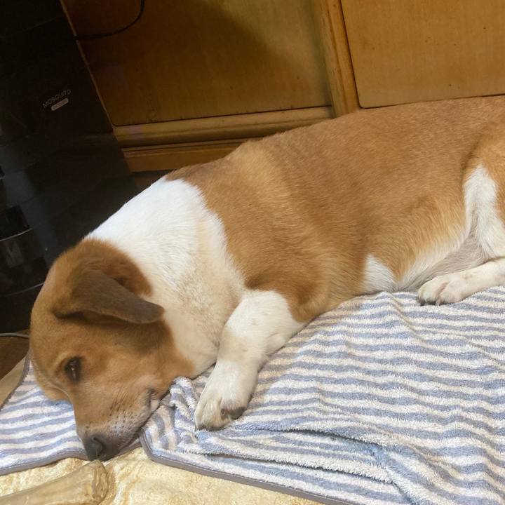 82bbfec1 f143 4b60 91a7 b72a8c85d7ee 1731631207615