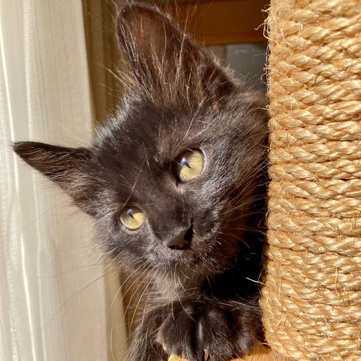 82bc72d3 2ffd 46d7 8396 aecab026fc7e 1700382659543