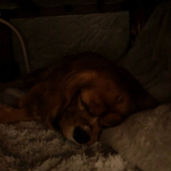 82bc7a1b 6c92 42ba 81c3 4cfdea5fdc0c 1610403674646