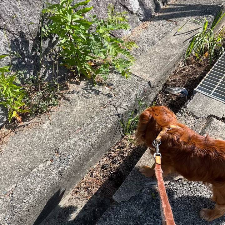 82bc86e4 4c01 4e90 bd98 abf5fafadc9b 1715385499317