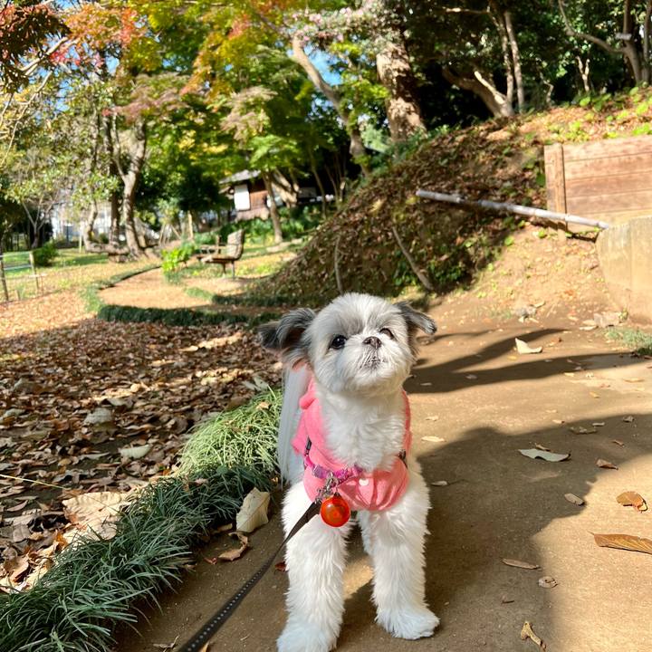 82bc8a71 5f44 4749 a7cf c6ce32286f30 1668750082800