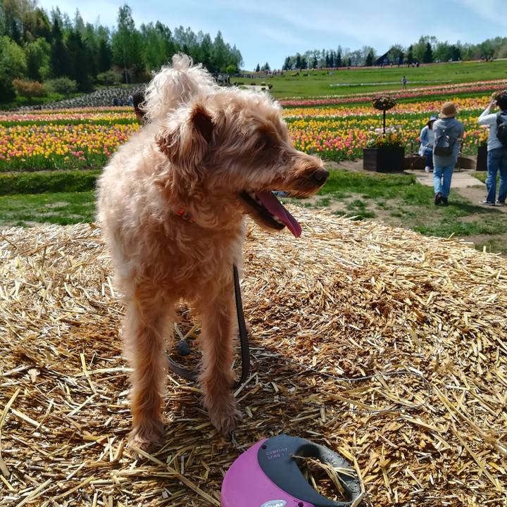 82bca43f 21a0 440d 9028 06893831e4fa 1558258780519