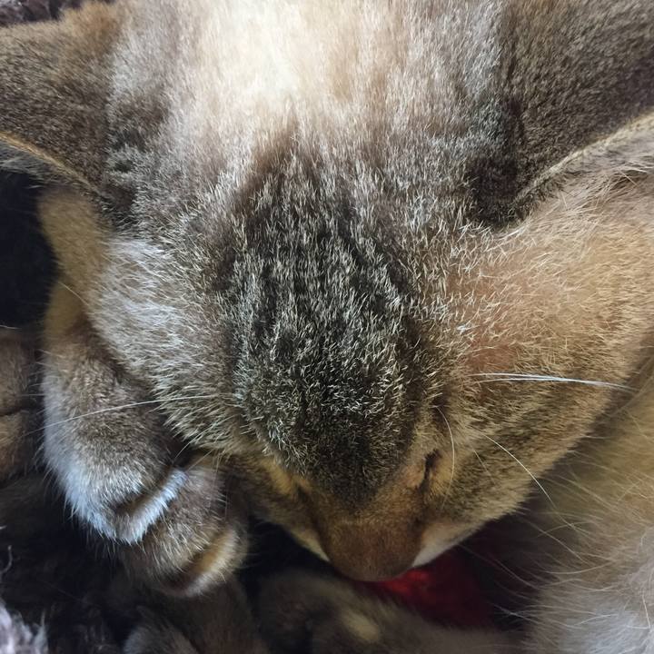 82bcae55 3d26 45c2 acfd 3e2dac807c26 1563436110594