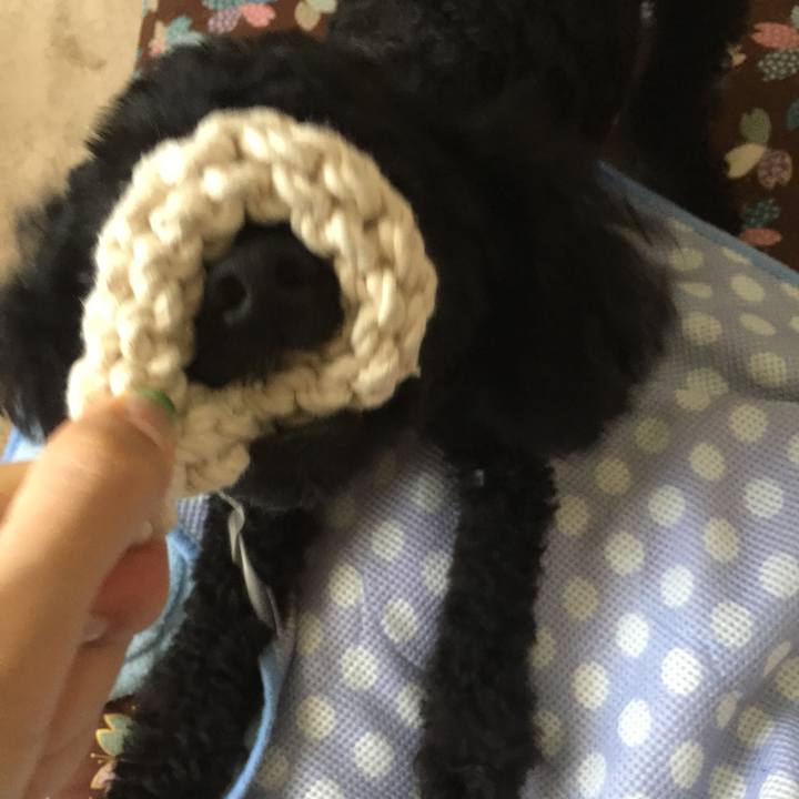 82bcb15b baa7 4d28 b219 85988b65df57 1532425049208