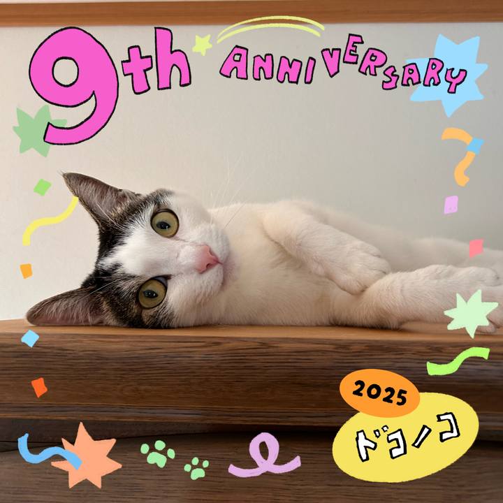 82bccde6 1243 4b5e 99be 354448cf71e0 1749387691952