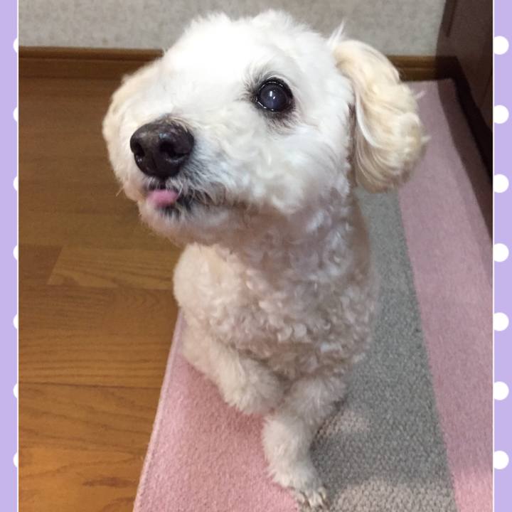 82bd4655 c45f 490c a8e2 adc6e47d67d8 1516172391485