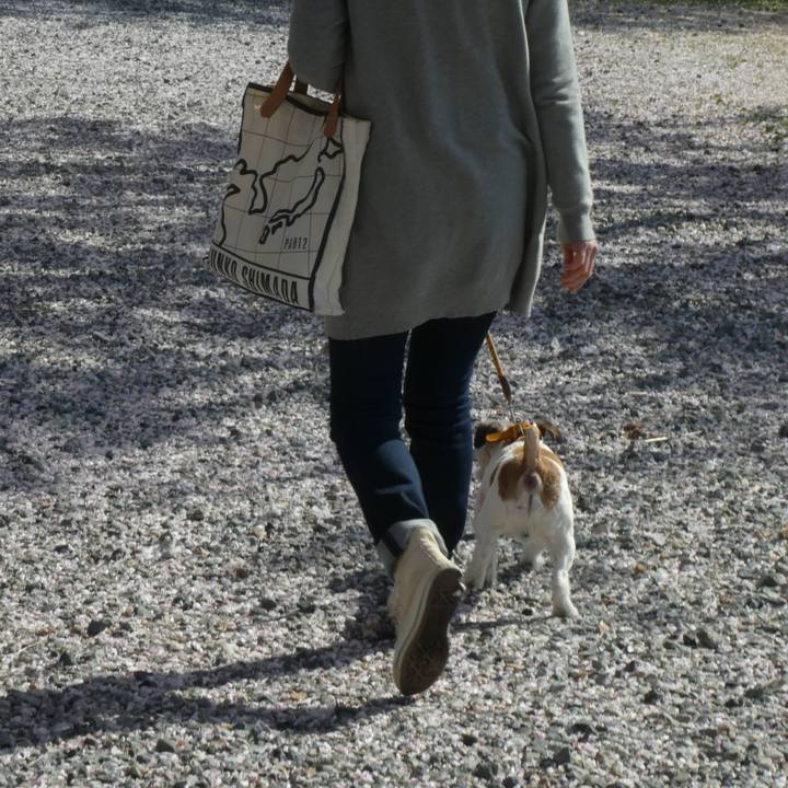 82bd6ce3 bc67 4cc1 b785 3aeebd156a8b 1617780511259