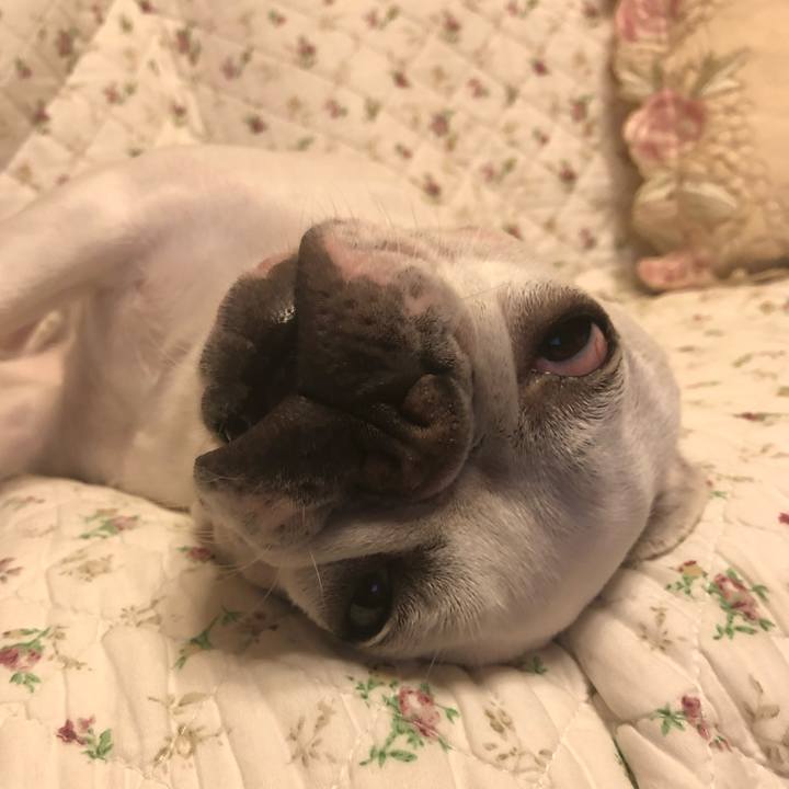 82bd7518 1db2 4508 8e9b bbd85f5eae87 1591618492031