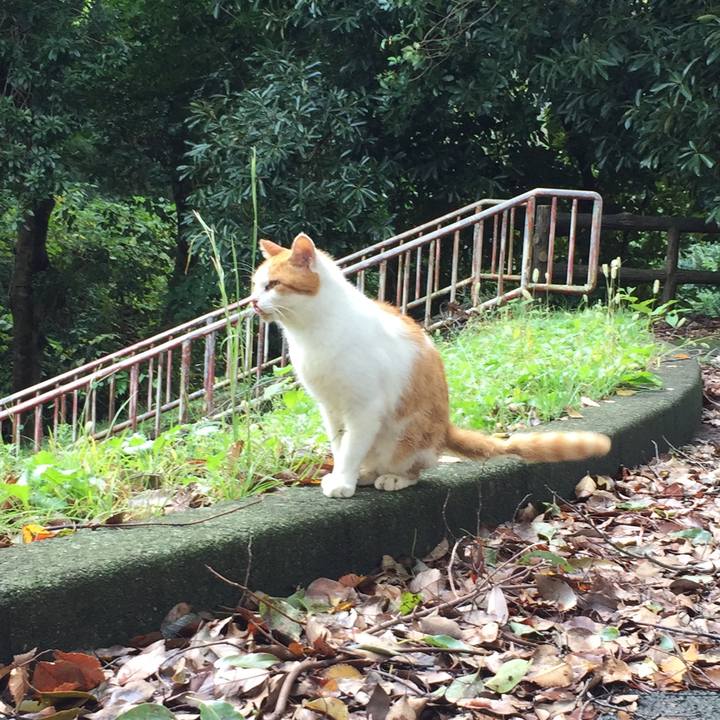 82bd9252 0af6 4cc5 b166 ab047c35dc39 1571637591494