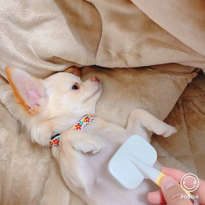 82bdab1b 504b 40a8 8dcb 2195a6c304ae 1605875820295