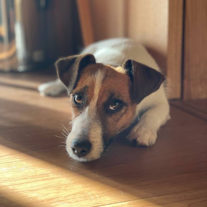 82bdadd7 b8d5 496c afc1 6e05ccf937f3 1629439714479