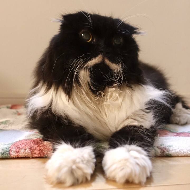 82bdc9fb f6fa 451d a2aa 2e43451eb730 1569941166722