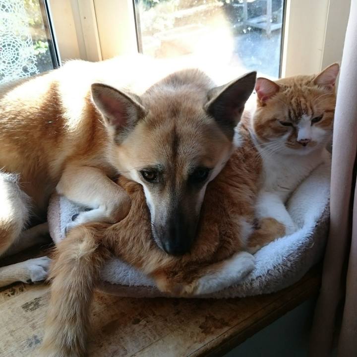 82bde571 cbea 4cd9 a966 529704421523 1526277347338