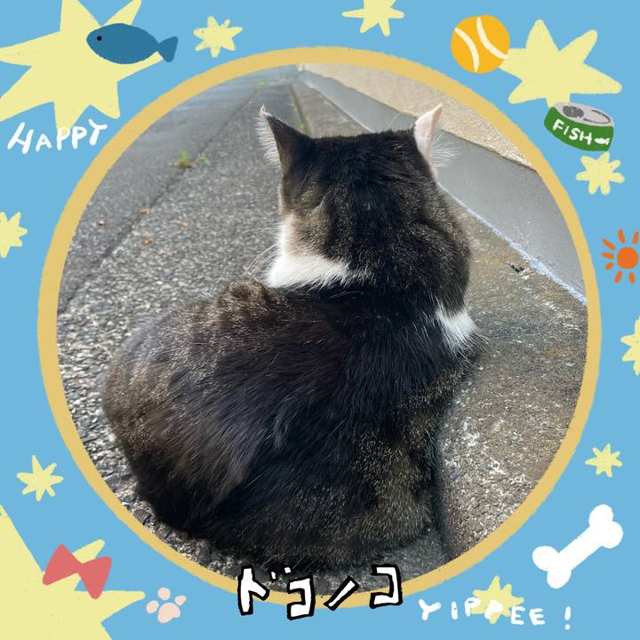 82bdf89d ce9d 4f4a b9cc 81a803618a85 1720873883015