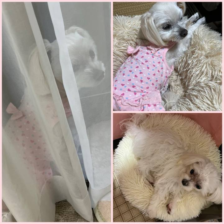 82be1e6b accc 4fc5 a540 d5ad38bfac52 1712146155556