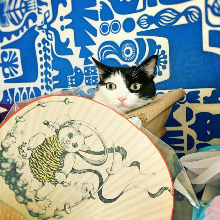 82be3ffc bb5d 43e2 abb4 3f6a1e58730e 1568930068453