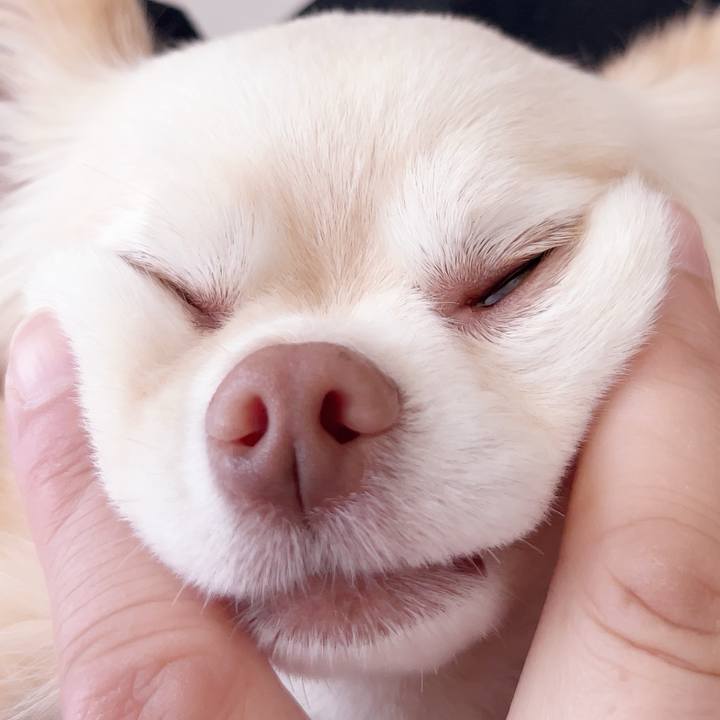 82be582a 20f0 4340 a8aa a5217ac6ee93 1748747651158