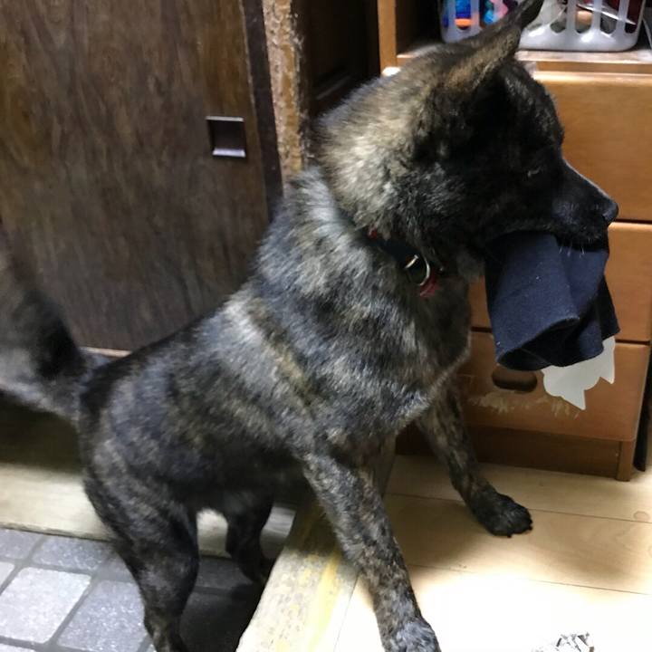 82be5ade 71fa 4261 b8af 155eb3bc3025 1517654381223