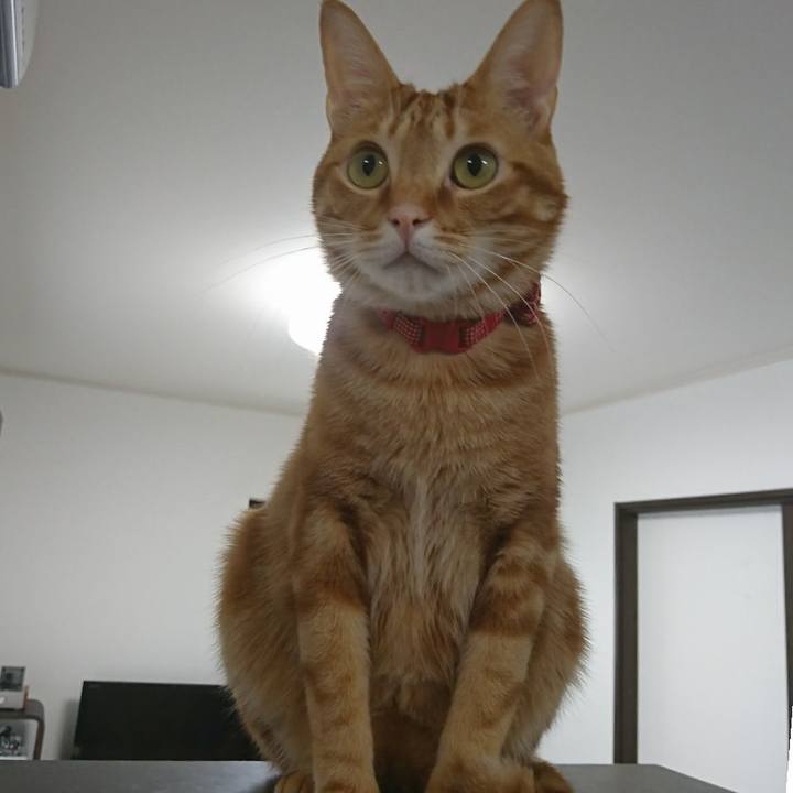 82be64c0 ba3f 4e1c bafe 519a4c3861cd 1520069572696