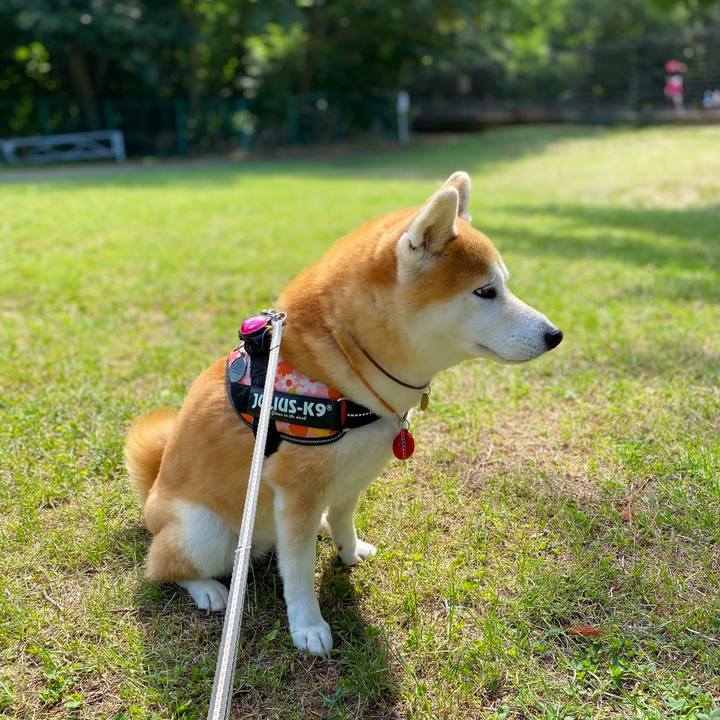 82bea6f5 e323 45a0 9591 1ae4434e9bc3 1628941174846