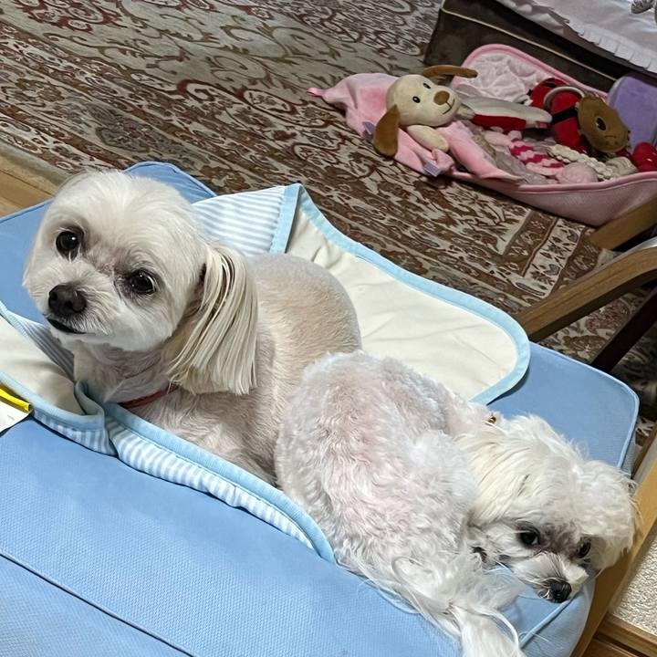 82bec3d1 5bd6 4988 8d38 c714961ad763 1722566450538