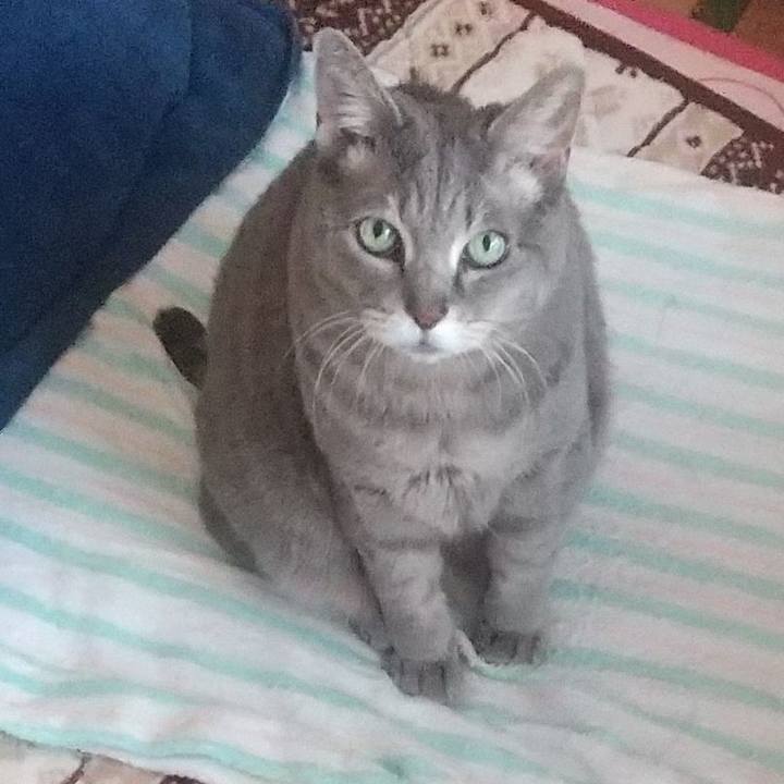 82bf38e7 9240 4b1b b65d 6bd42e6e6032 1645800201443