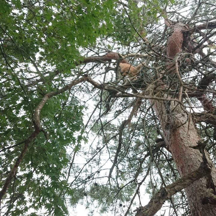 82bf58a9 d936 4dc3 b0ea 314369ec5151 1635122124429