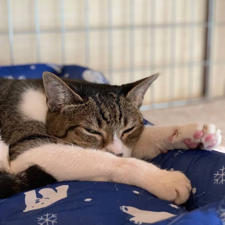 82bf5dd0 66a0 4c00 9aa1 8483dcf30f25 1567991640340