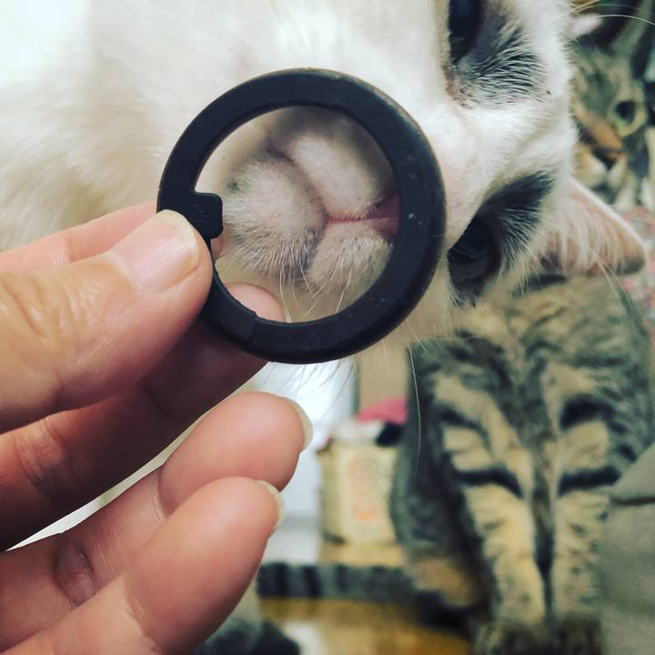 82bf6e77 b130 4382 860b 607b7e36ae0d 1557996735095