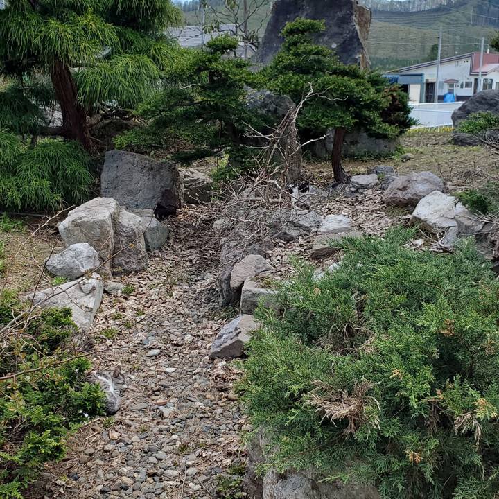 82bf80d3 9cc4 4c08 b91d 650cc0b1d039 1715354210562