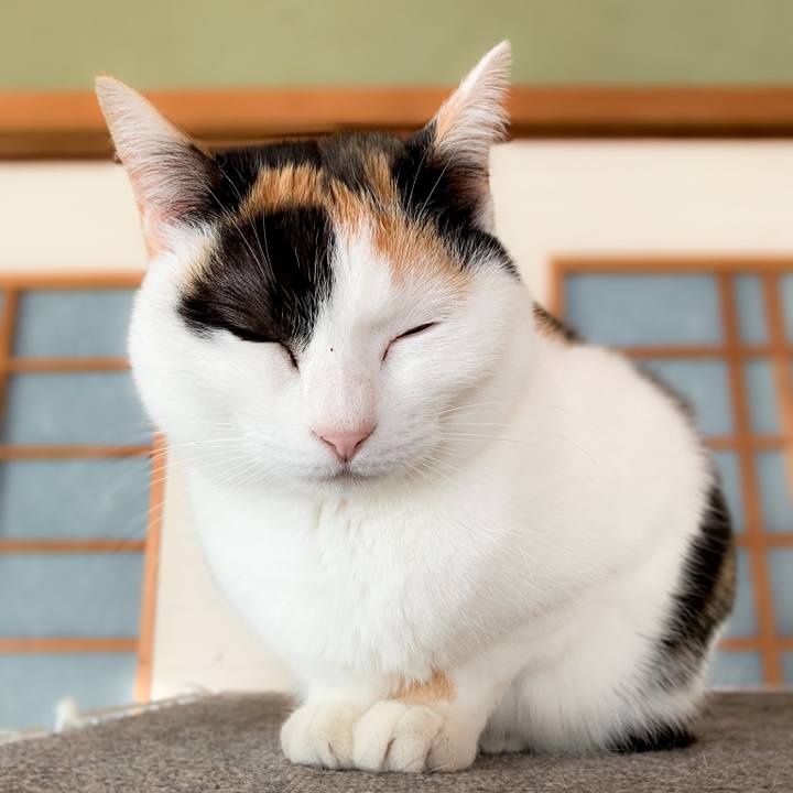 82bf8621 f18b 4303 b85d 662d4c190af5 1590280980225