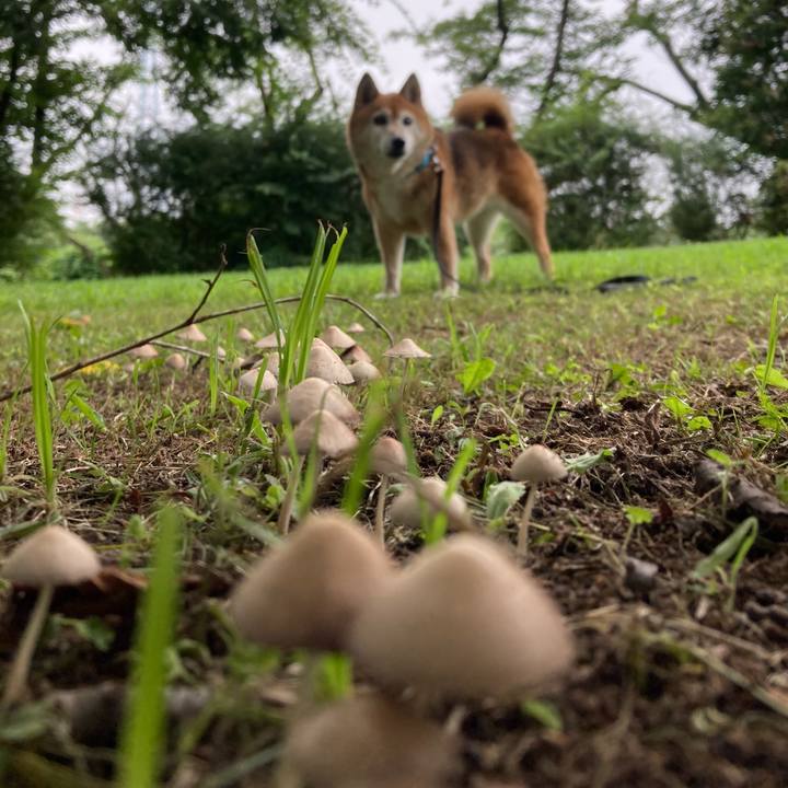 82bf8ed8 49fe 42c0 8f1c 5929958a2f7b 1721104583736