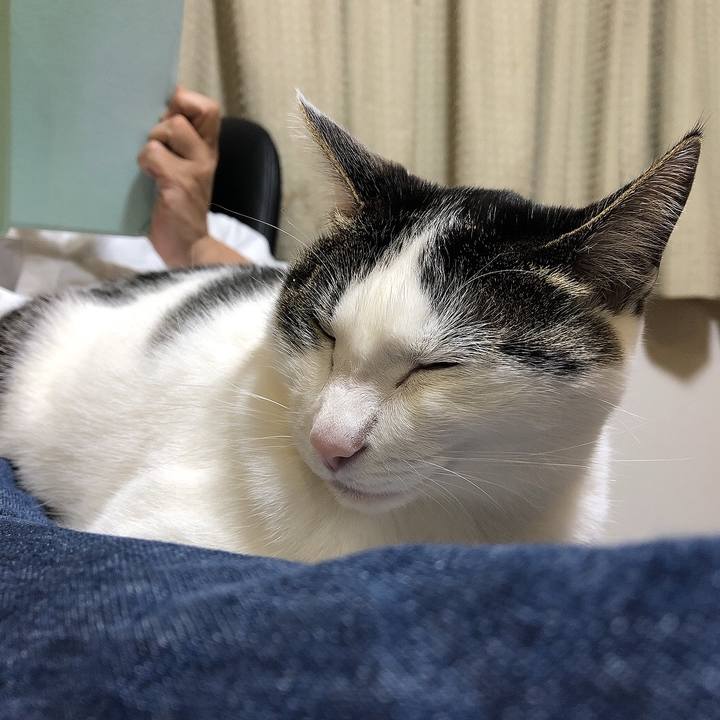 82bfad99 805a 4cab 8411 ca976948af62 1649936016811