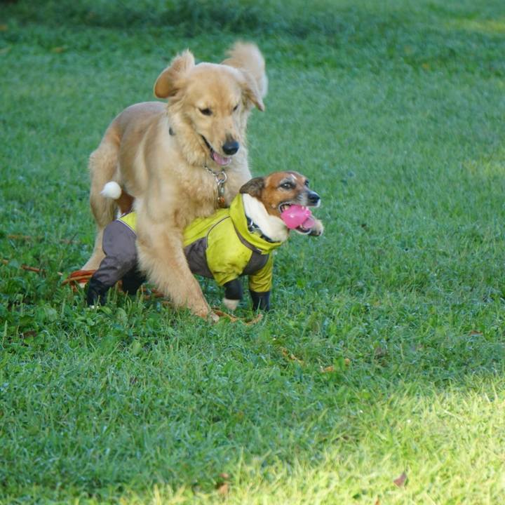 82bfd23e 72df 4fa8 91ee be943c1207d1 1603236138355