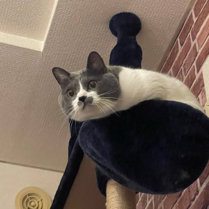 82bfda40 2180 46c6 928e 17103b2c694d 1701606933657