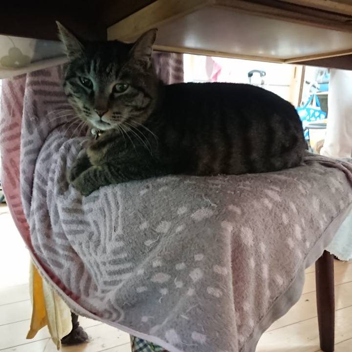 82bfedfd 430b 47fa b557 21c37e585ebc 1648503734009