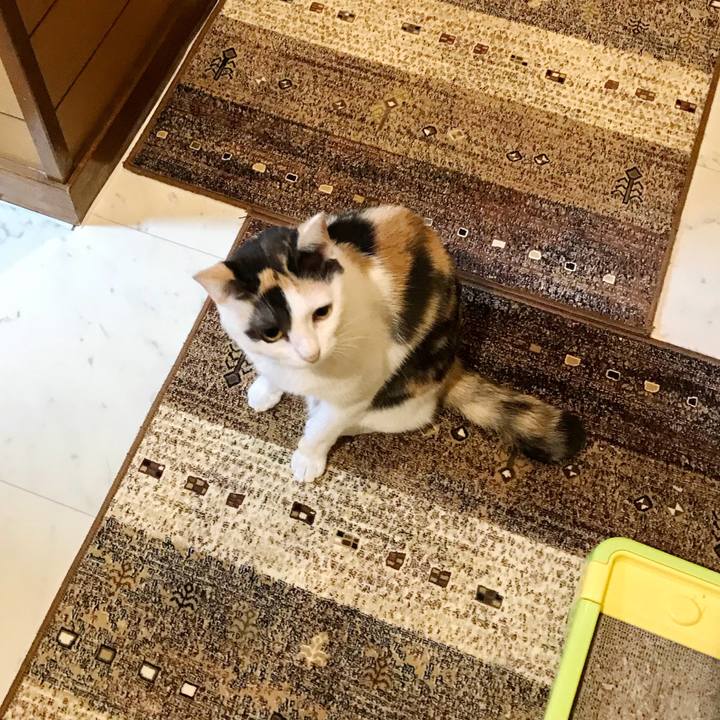 82c015a6 6ae9 4727 8882 3fa2089b084a 1507682240311