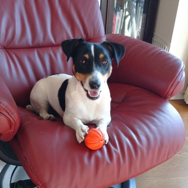 82c03a85 40f5 4c49 8e99 a6efd70f20c4 1615477691626